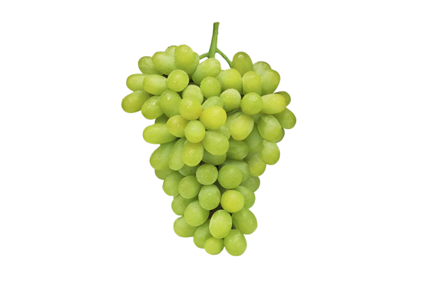 Thompson Seedless Grapes
